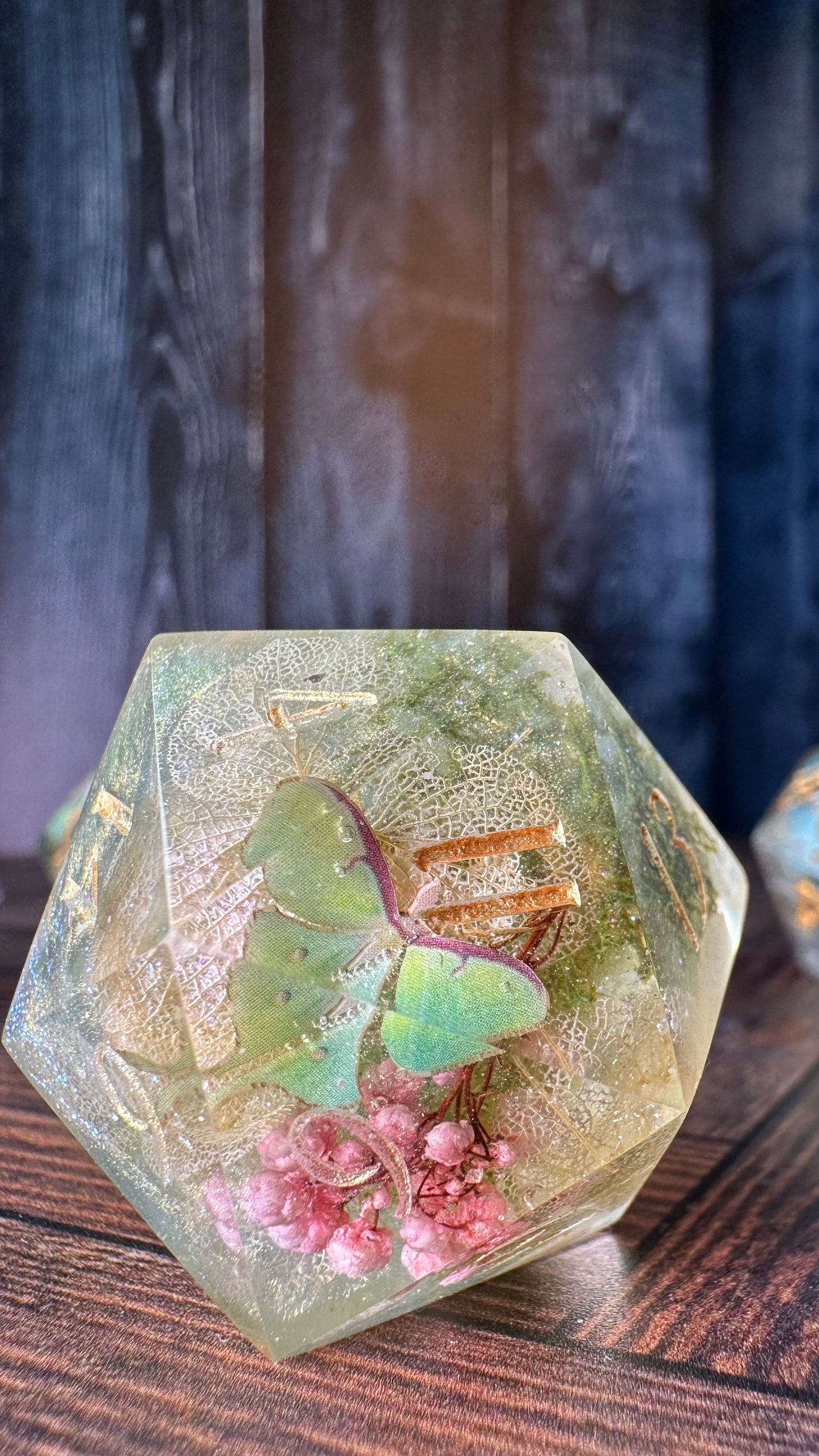 Butterfly 40mm- 40 MM Logo d20 Chonk-Pobody’s Nerfect