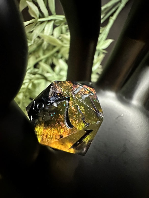 “Pumpkin Patch” D20