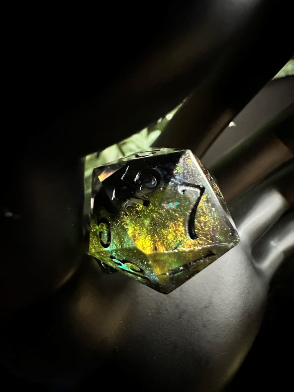 “Pumpkin Patch” D20