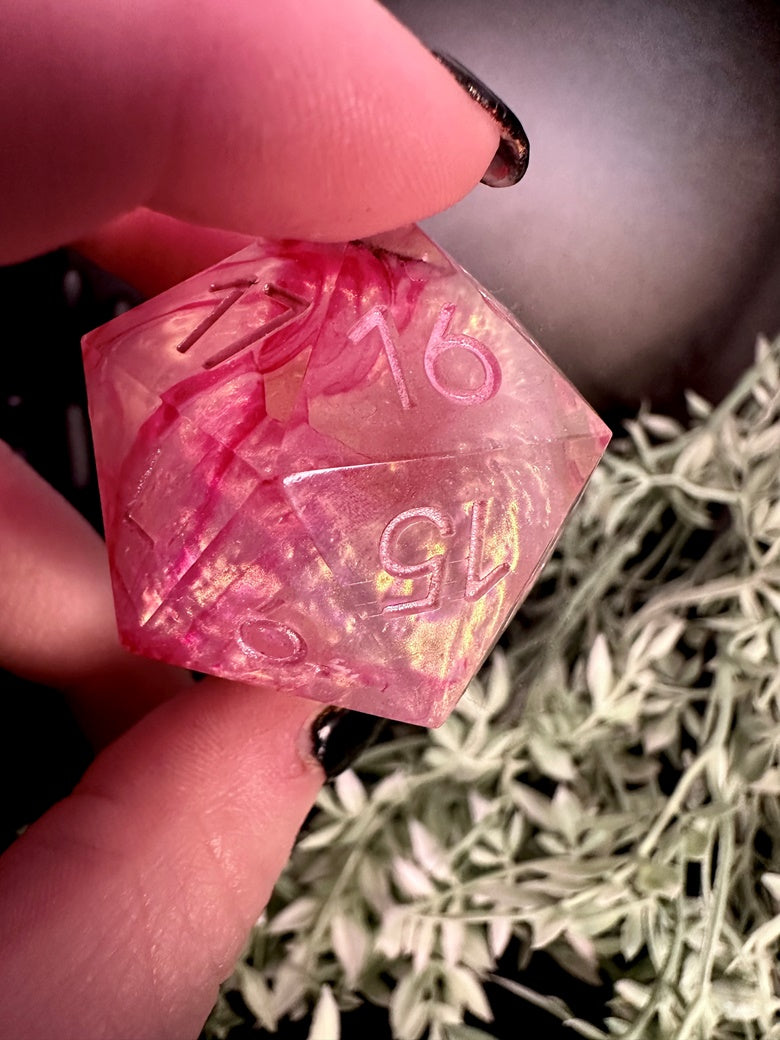 Rose’s Portal D20 Chonk